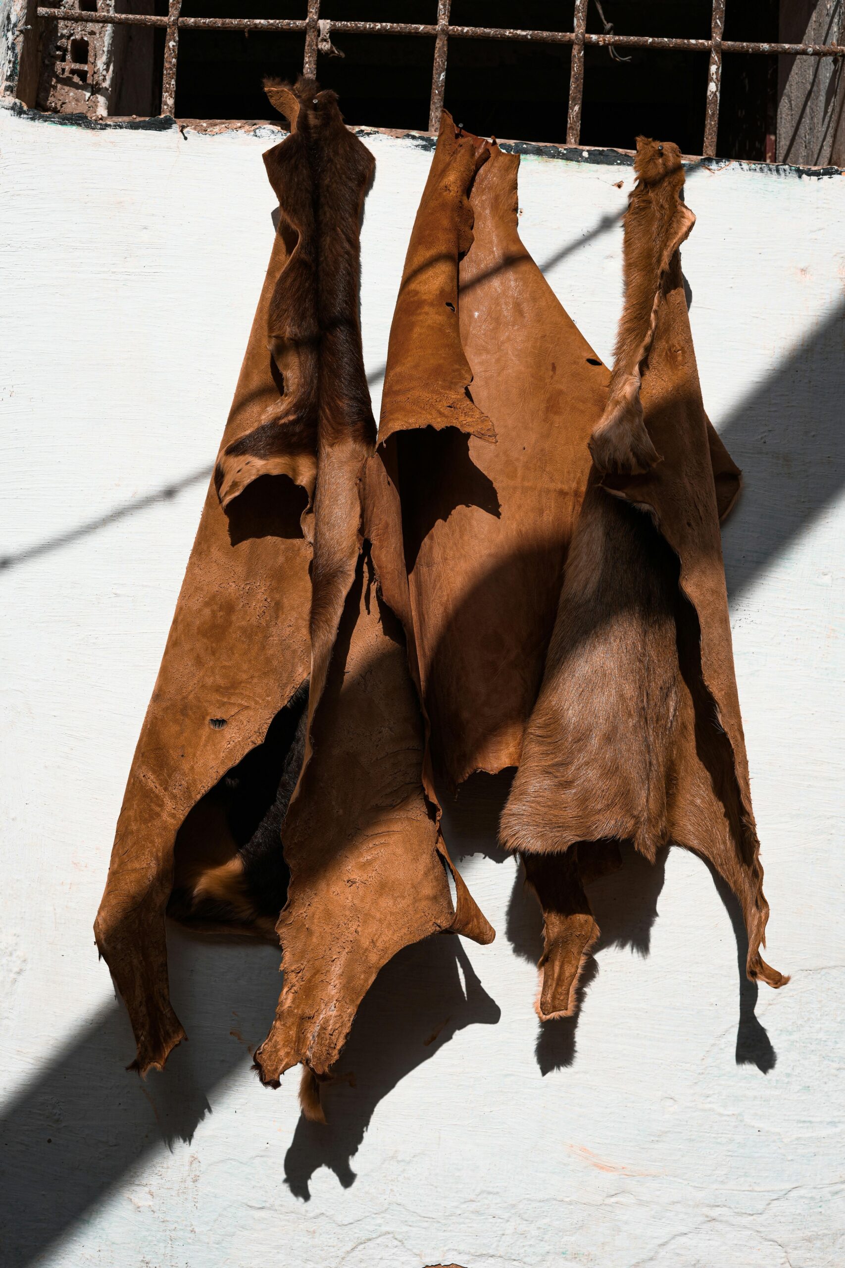 premium finished cow leather Sunlit leather drying outdoors in Fez, showcasing traditional Moroccan craftsmanship.