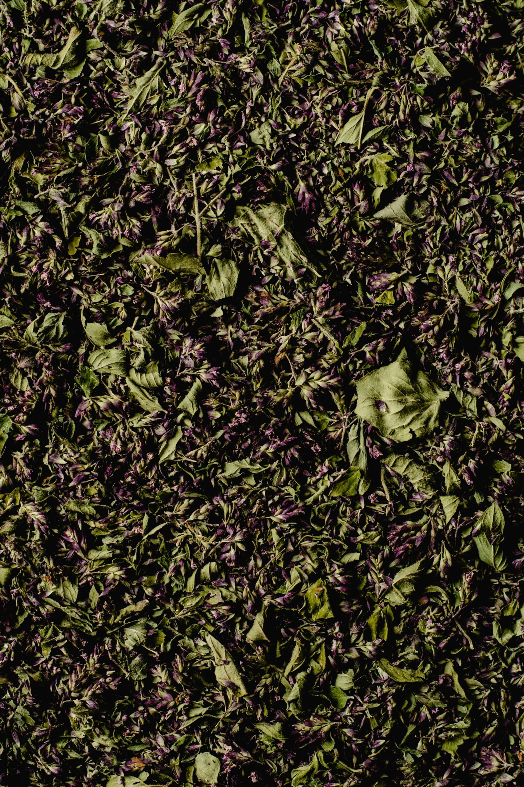 Premium High-Protein Alfalfa Hay Close-up of dried herb leaves showcasing natural texture and earthy tones.
